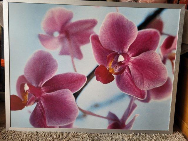 Preview of the first image of Orchid Print Wall Art 1080 x 900mm.