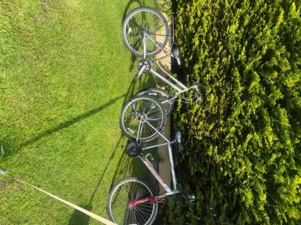 Image 1 of Girls and Boys Bikes , good condition,buyer collects.
