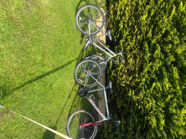 Preview of the first image of Girls and Boys Bikes , good condition,buyer collects..