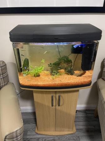 Image 2 of Tropical Fish Tank with Fish