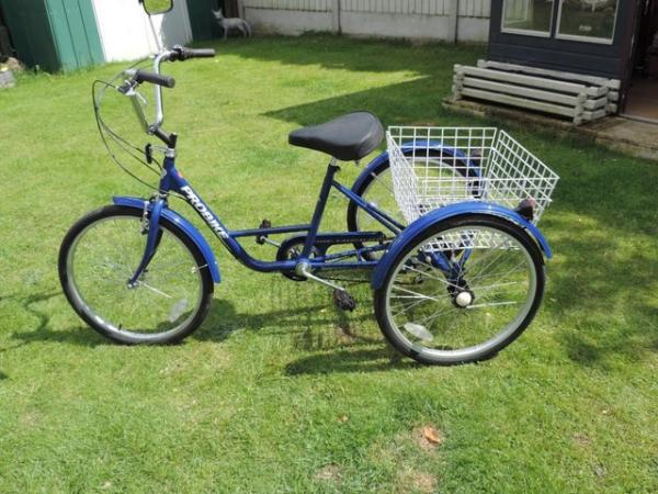 Image 3 of French " Onion Johnny " Adult 3 Wheel Bike + Basket
