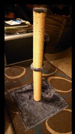 Image 3 of Cat Scratcher Sisal Post And Toy - 70cm High