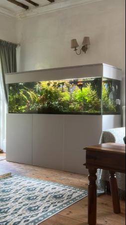 Image 1 of 680litre 6ft x 2ft x 2ft Aquarium, filters, heaters, stand..