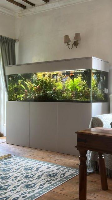 Preview of the first image of 680litre 6ft x 2ft x 2ft Aquarium, filters, heaters, stand...