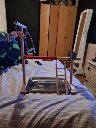 Image 3 of Bird play stand with toys, tray, bowls and ladder.