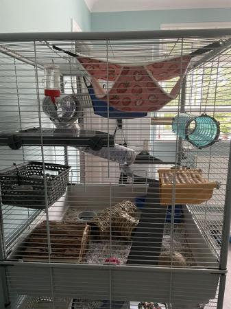 Image 4 of Massive rat/ferret cage really good quality
