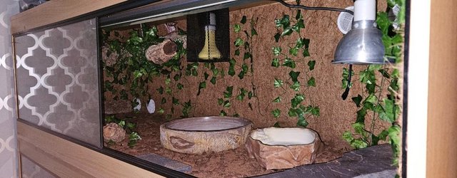Preview of the first image of 6 x 2 x 2 Vivarium setup.