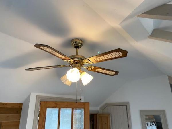 Image 1 of Brass ceiling fan/light fitting