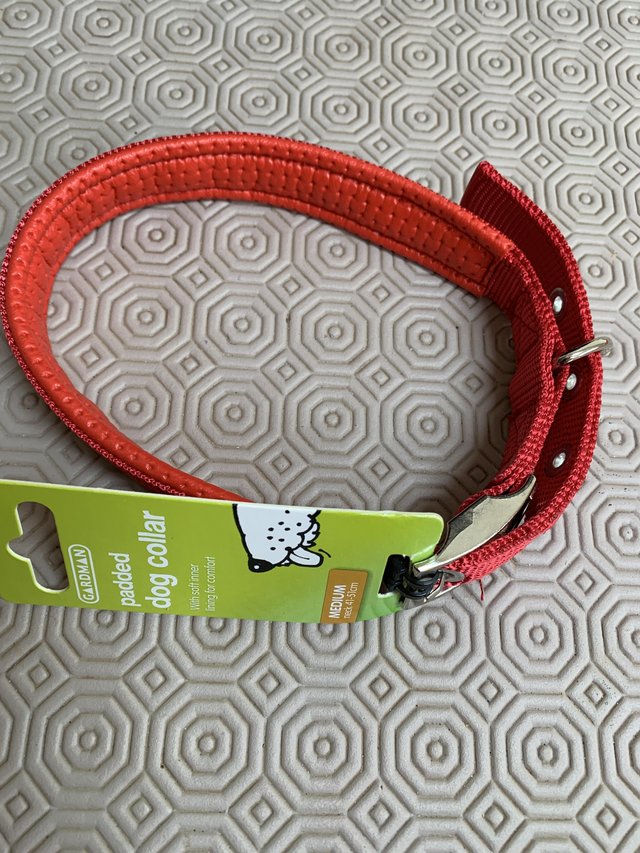 Preview of the first image of DOG COLLAR SIZE MEDIUM..