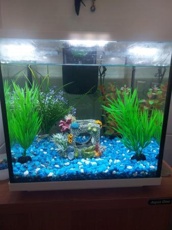 Image 4 of Free Interpet fish tank with aquaone cabinet and corations