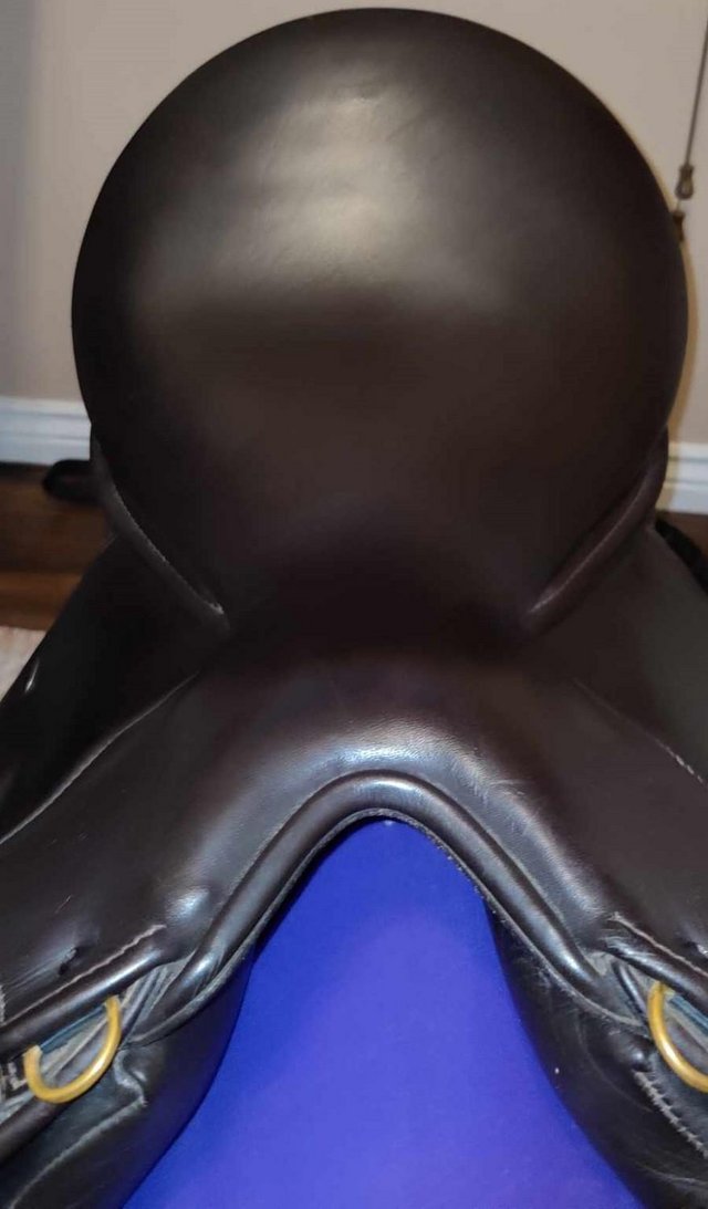 Preview of the first image of WOW Edge Dressage Saddle.