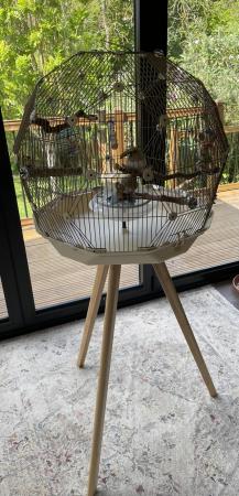 Image 3 of Omlet Geo Birdcage with stand