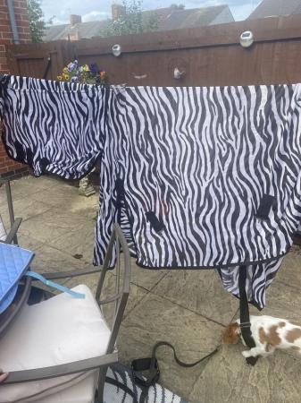 Image 1 of zebra fly rug 6.3 comes with matching fly mask