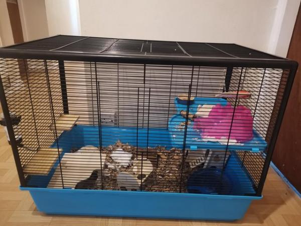 Image 5 of Large hamster/mouse cage with accessories