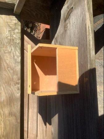 Image 1 of Nest Boxes for Canaries or finches