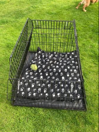 Image 4 of Dog cage for car  Pet World double/single for car