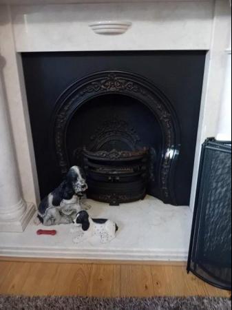 Image 1 of Horseshoe cast iron fireplace.