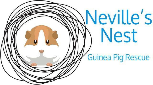 Preview of the first image of Rescue Guinea Pigs.