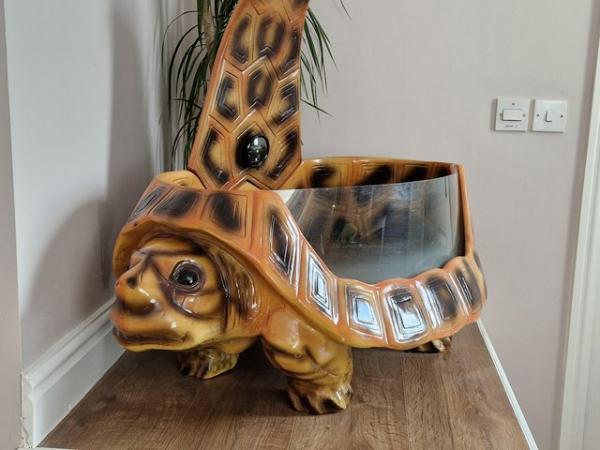 Image 3 of Komodo Tortoise table house