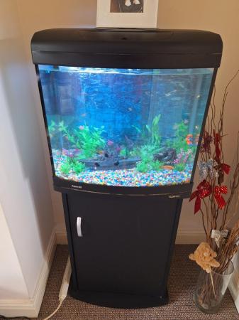 Image 1 of Fish and tank 65 litre and stand
