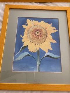 Image 1 of Professionally framed Sunflower images