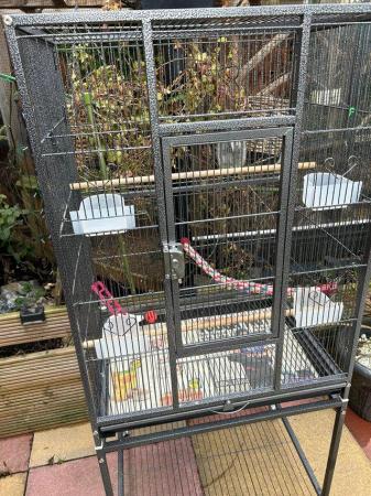Image 5 of Flight cage for finches or parakeets