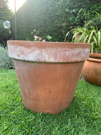Image 2 of Extra Large terracotta plant pot