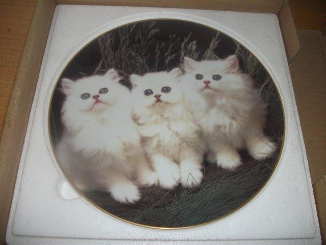 Preview of the first image of DUNBERRY - PURRFECT PORTRAITS PLATES.