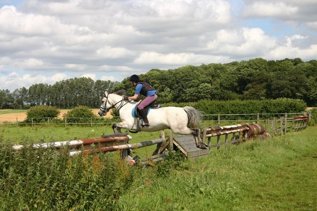 Image 1 of Wanted- horse or pony for loan for experienced adult rider