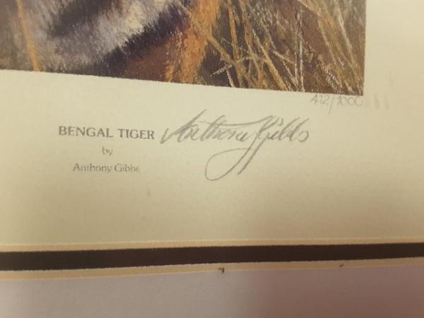 Image 3 of ANTHONY GIBBS LEOPARD AND TIGER LIMITED EDITION SIGNED PRINT