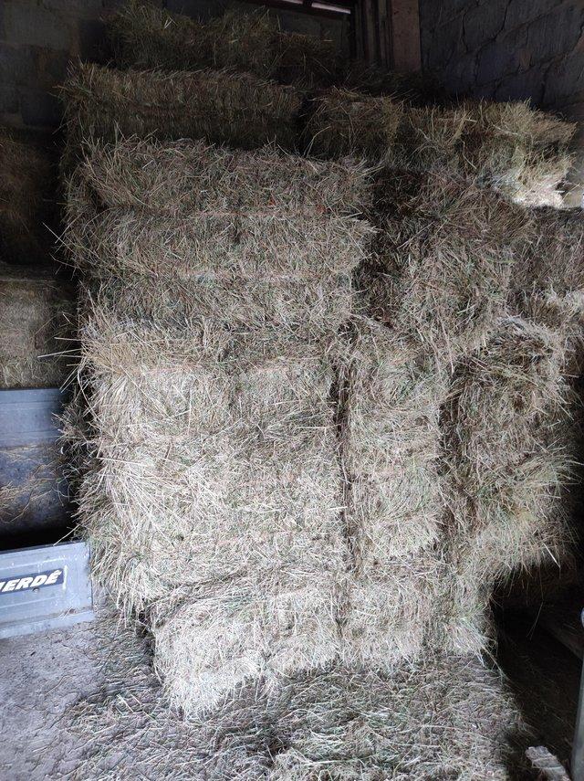 Preview of the first image of Traditional Hay bales mid Norfolk collection.