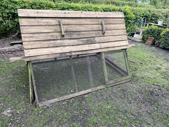 Preview of the first image of Lovely poultry Arc with run ..Three laying hens available.
