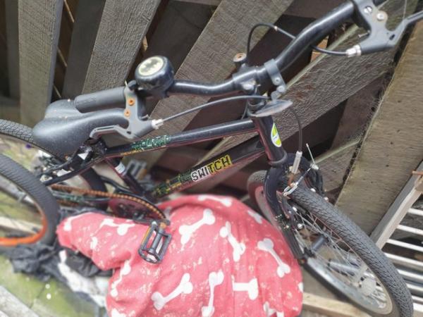 Image 2 of 2 kids bikes 20 inch an 18inch