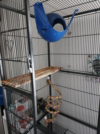 Image 3 of Cage for Birds, Rats, Mice, rabbits etc