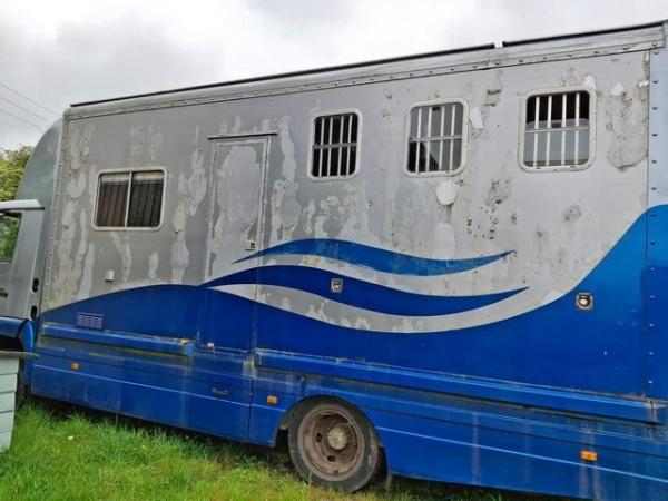Image 3 of PROJECT 7.5T HORSE LORRY