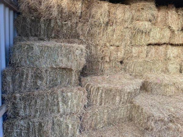 Image 2 of 2023 Barn stores Quality Meadow Hay
