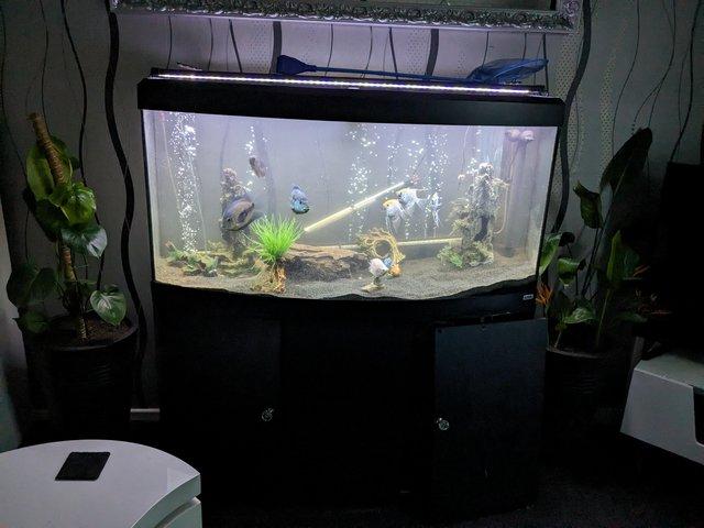 Preview of the first image of FLUVAL VICENZA BOW FRONT TANK.