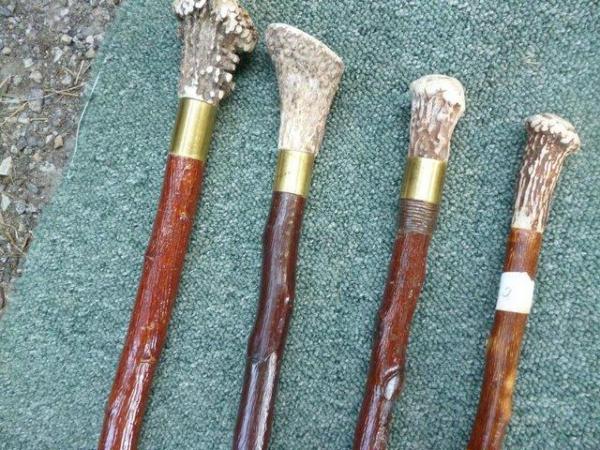 Image 11 of Show canes Handmade in various woods