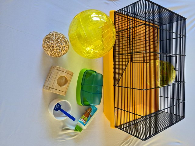 Hamster/Mouse Cage and Accessories — Pets & Animals in Basildon
