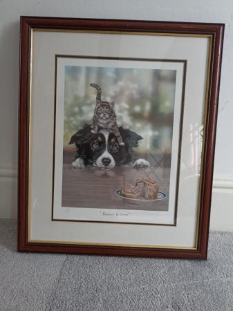Image 3 of Limited Edition Dog/Cat Print