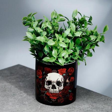 Image 3 of Skulls & Roses Ceramic Indoor Plant Pot - Large. Free post
