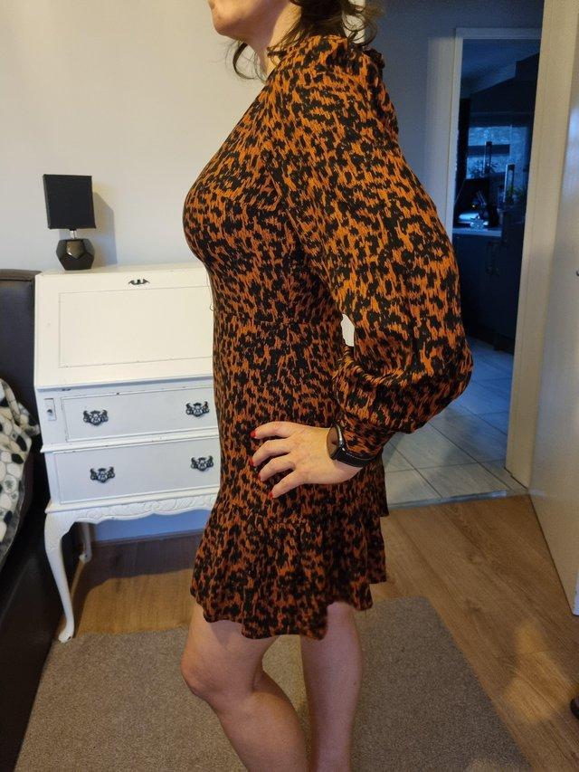 Preview of the first image of Size 10 dress animal prints.