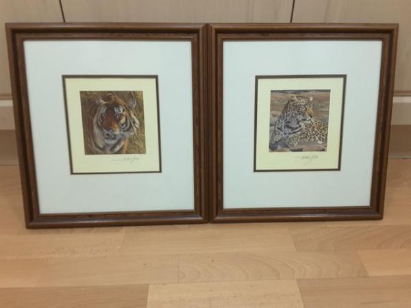 Image 1 of ANTHONY GIBBS LEOPARD AND TIGER LIMITED EDITION SIGNED PRINT