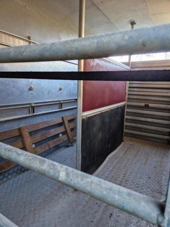 Image 2 of Ifor Williams horse/livestock trailer model TA51