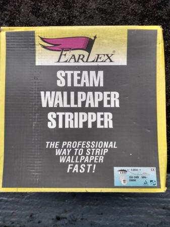 Image 2 of EarlexWarrior Steam Wallpaper Stripper