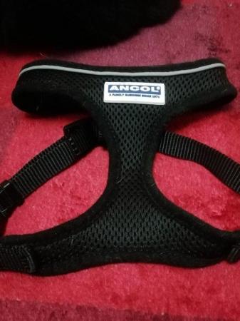 Image 4 of ANCOL black harness SIZE S excellent condition