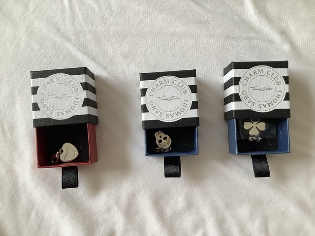 Preview of the first image of Three Thomas Sabo silver charms.