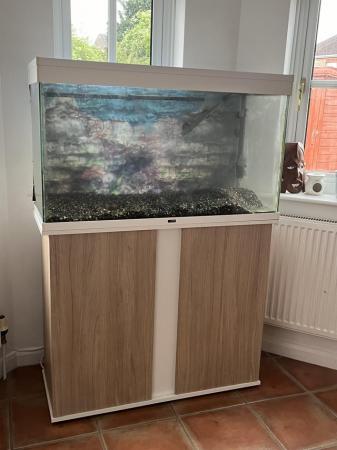 Image 2 of 3ft fish tank for sale (no light but has everything else)
