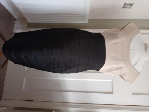 Image 2 of Maggy London Fully Lined Black/Champagne  Dress Size 14