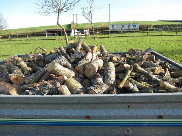 Preview of the first image of TRAILER LOAD OF APPLE TREE LOGS.